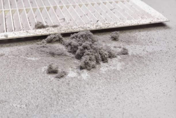 Best Air Duct Cleaning Near Me  in Cold Springs, NV