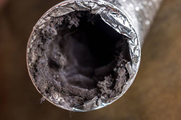 Best Affordable HVAC Duct Cleaning  in Cold Springs, NV