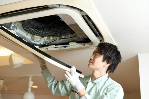Best Best Air Duct Cleaning Company  in Cold Springs, NV