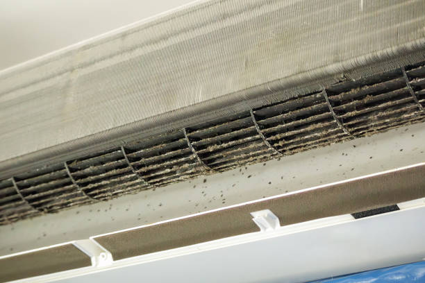 Best Local Air Duct Cleaning Services  in Cold Springs, NV